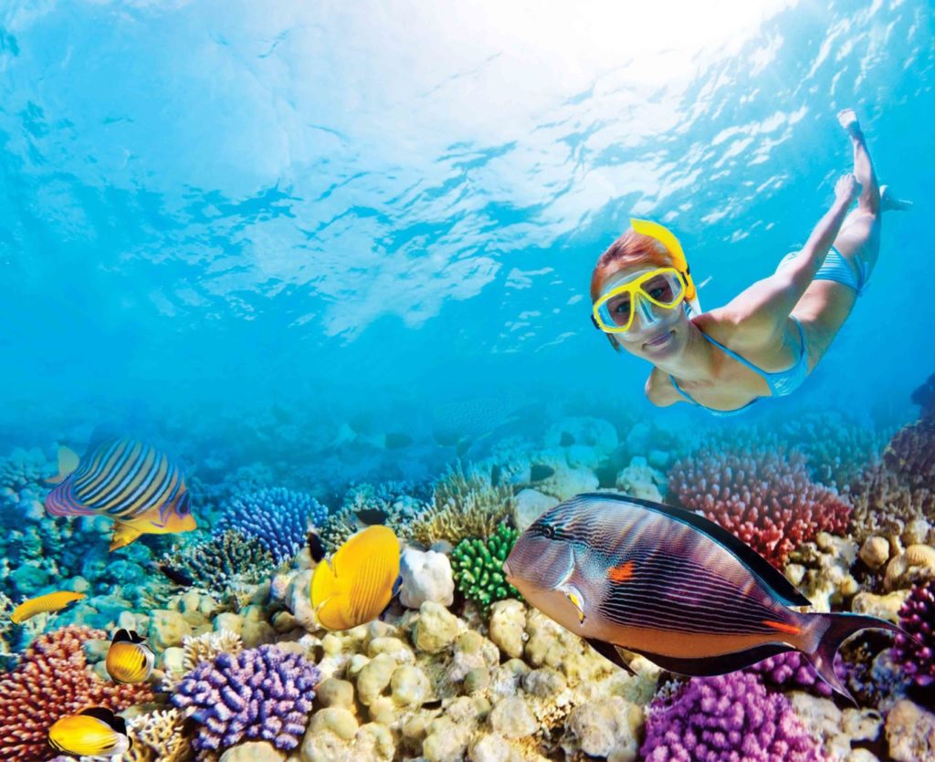Best Snorkeling in Cancun