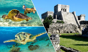 5 great tours to do in Cancun