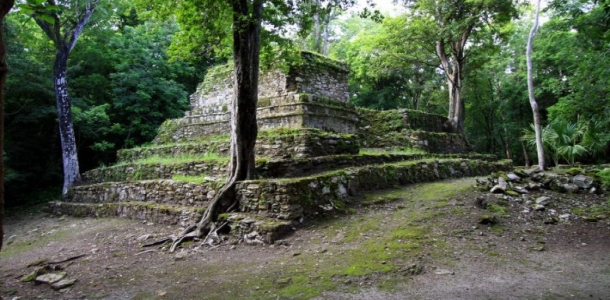 Live an adventure in Mayan's ruins 