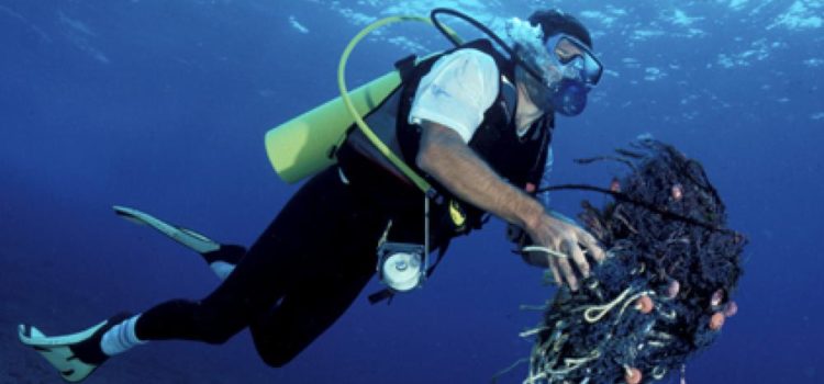 Caribbean Reef