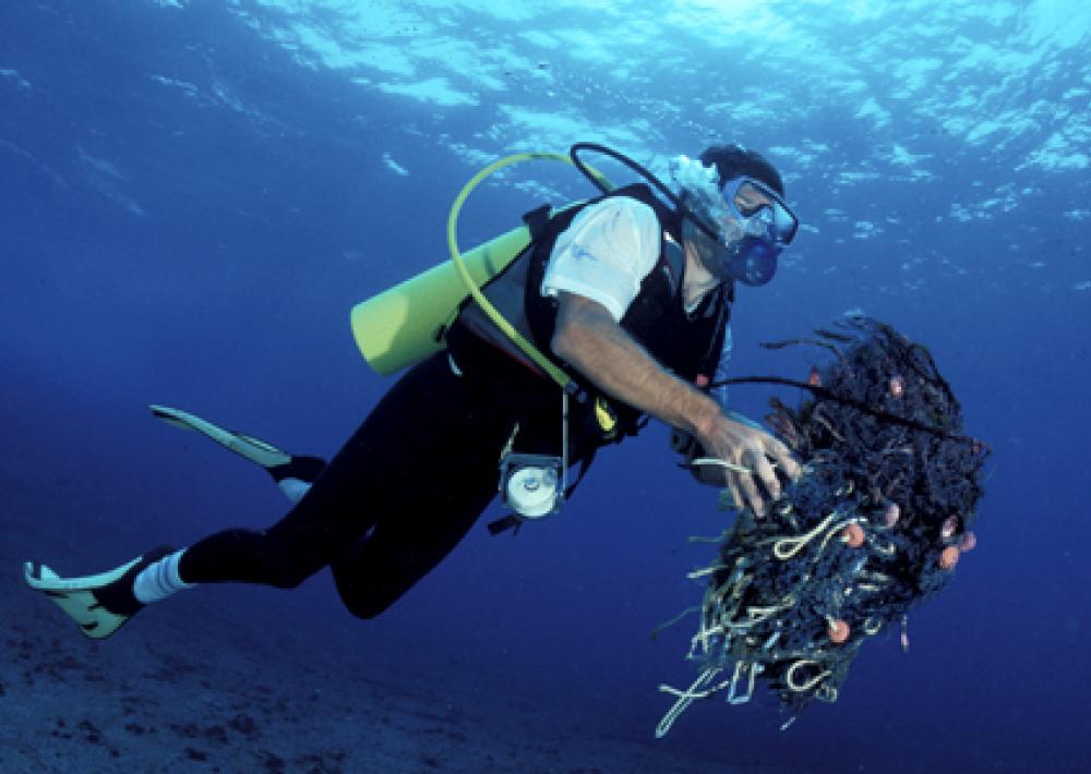 Caribbean Reef