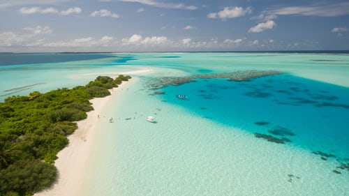 Caribbean Holiday