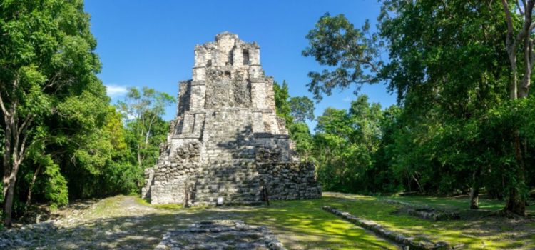 Adventure in Mayan's ruins