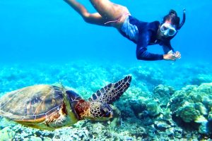 Tulum & Turtle Adventure