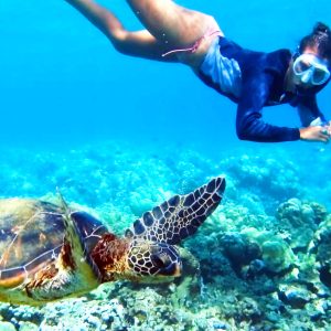 Tulum & Turtle Adventure