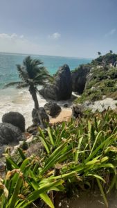Tulum Express