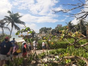 Tulum Express