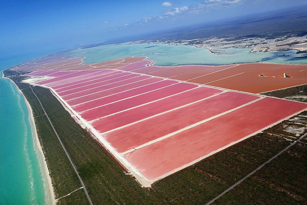 Las Coloradas Rio Lagartos