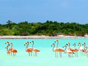Holbox